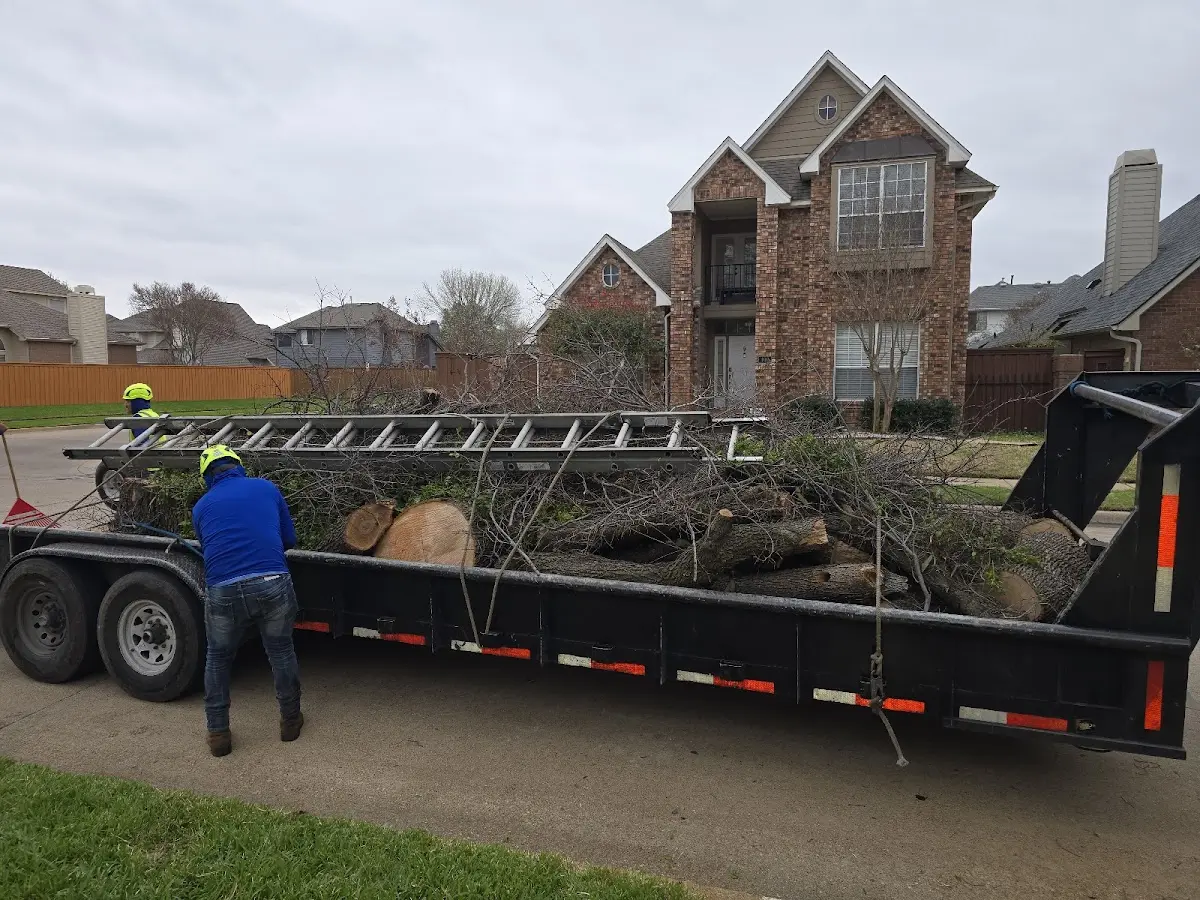 Expert Tree Removal with proper safety equipment in Farnham